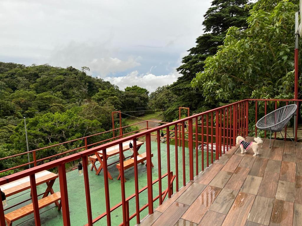 Monteverde Monkey Hostel Extérieur photo