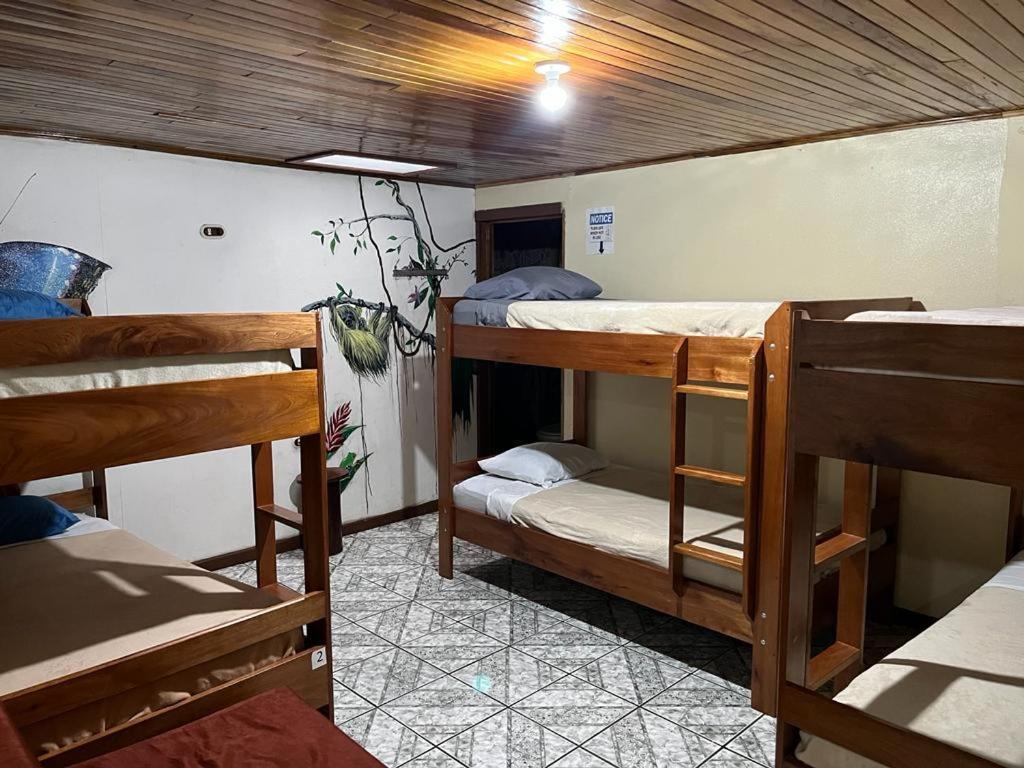Monteverde Monkey Hostel Extérieur photo