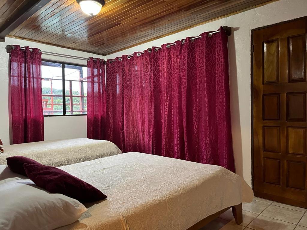 Monteverde Monkey Hostel Extérieur photo